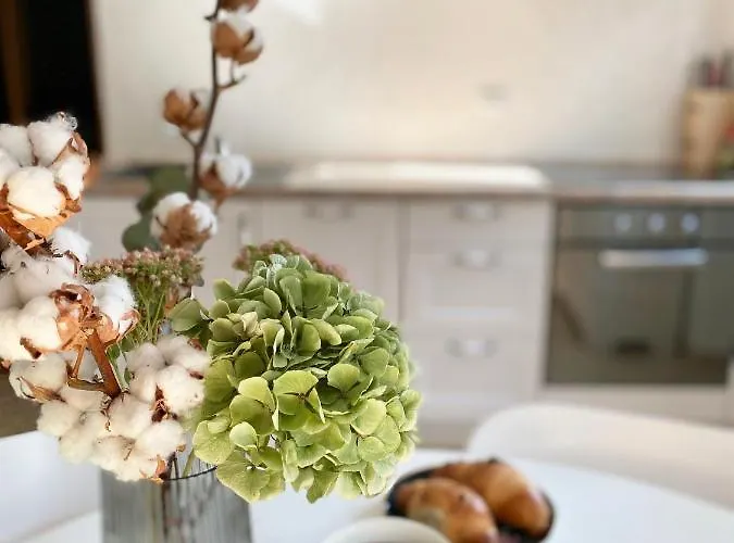 Evelina Lejlighed Pula