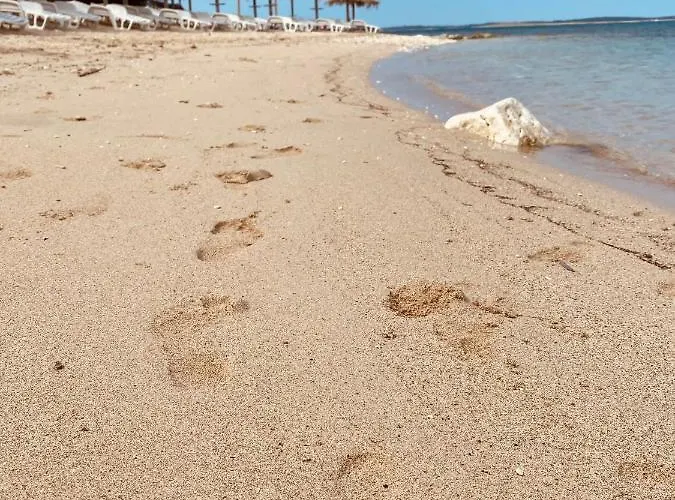 Evelina Apartament *